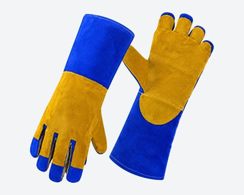 Mustard-Hand Blue-Cuff Gauntlets